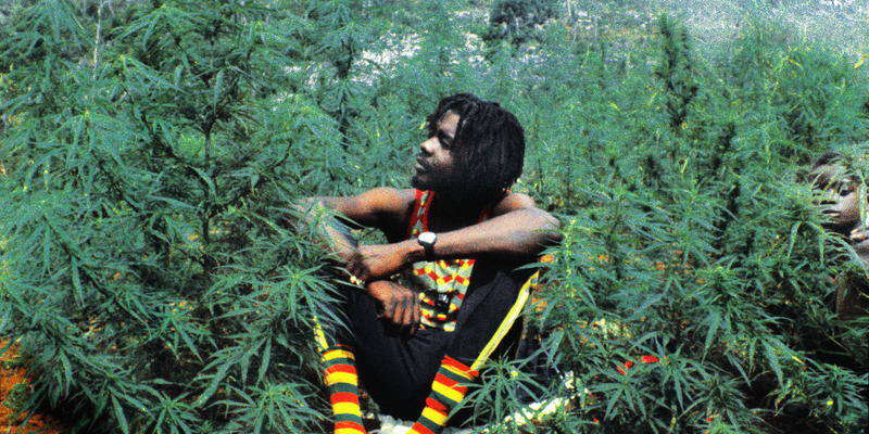 Illustration for article titled Jamaica Legalizes (Medical) Marijuana & Decriminalizes All Weed